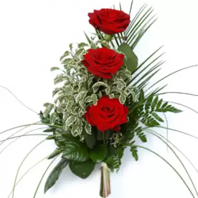 Amorův šíp - kolumbijské růže