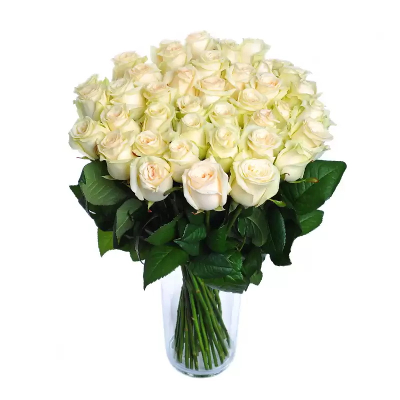 Fold a bouquet of white roses