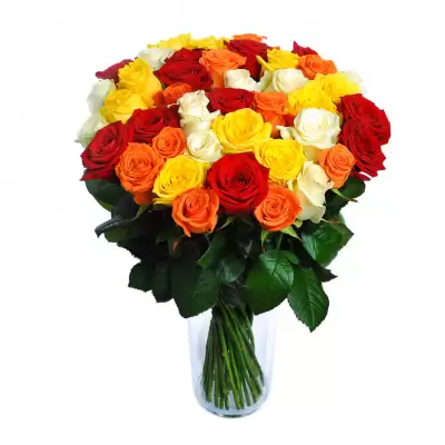 Create a bouquet of roses of different colors